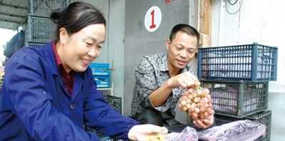 葡萄冷庫保鮮儲存方法,葡萄如何進(jìn)行冷庫貯藏保存圖4