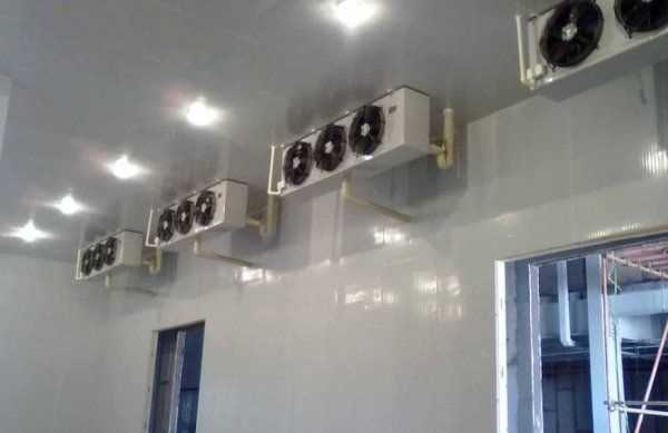 葡萄冷庫保鮮儲存方法,葡萄如何進(jìn)行冷庫貯藏保存圖5