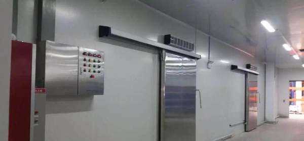 葡萄冷庫保鮮儲存方法,葡萄如何進(jìn)行冷庫貯藏保存圖7