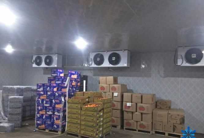 葡萄貯藏保鮮技術(shù)及系列加工技術(shù)