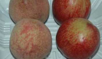 什么可以清除桃子表面的細(xì)毛,桃子去毛怎么洗干凈圖6