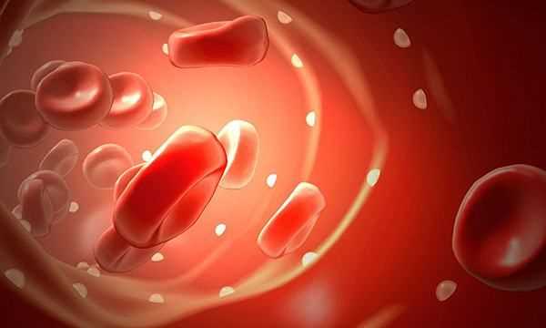 o型血為什么是萬(wàn)能血,o型血為什么是萬(wàn)能血圖6