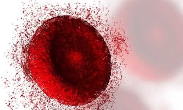 o型血為什么是萬(wàn)能血,o型血為什么是萬(wàn)能血圖8