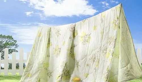 曬好的被子為什么不能拍,曬被子為什么不能拍打圖6