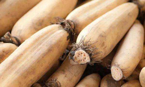 藕有幾個(gè)孔的區(qū)別,買(mǎi)藕時(shí)注意什么圖10