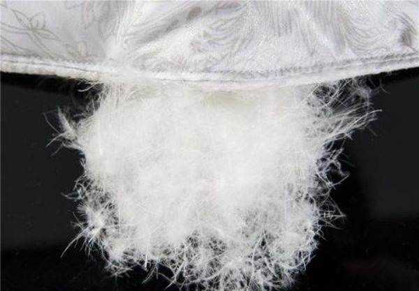 羽絲絨對身體有害,羽絨被對人體有害嗎?圖4