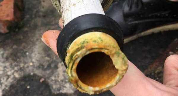 水管青苔堵塞如何疏通,黑色水管內壁會長青苔嗎圖5
