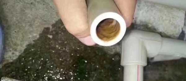 水管青苔堵塞如何疏通,黑色水管內壁會長青苔嗎圖7