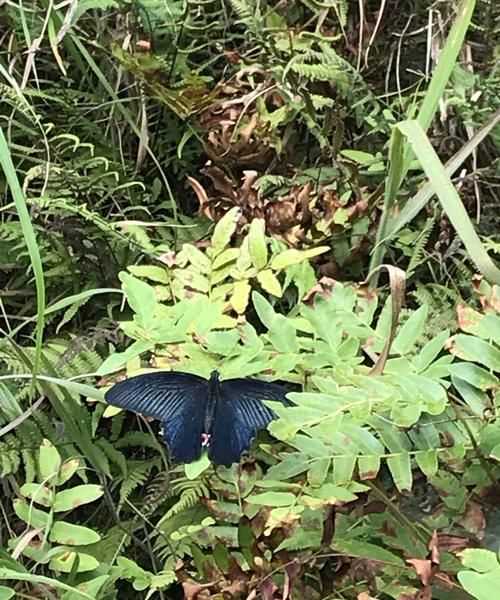 夏日的風(fēng)溫馨的語(yǔ)句