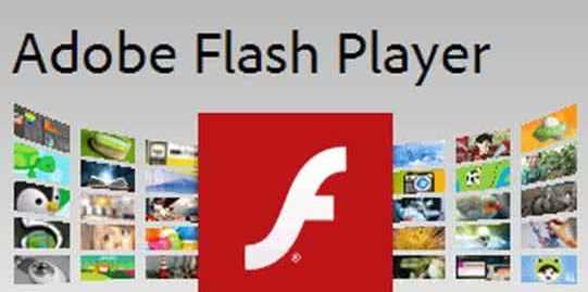 adobe flash player是什么,adobe flash player npapi是什么意思圖4