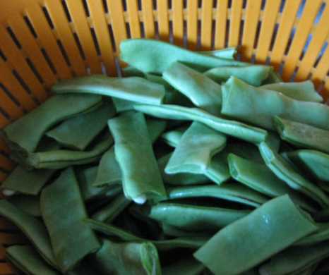 豆角炒肉怎么做好吃,豆角炒肉片的家常做法圖4