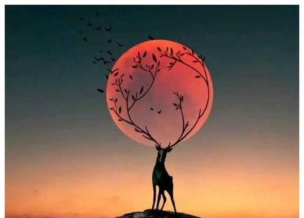 有深度有涵養(yǎng)的句子名人名言