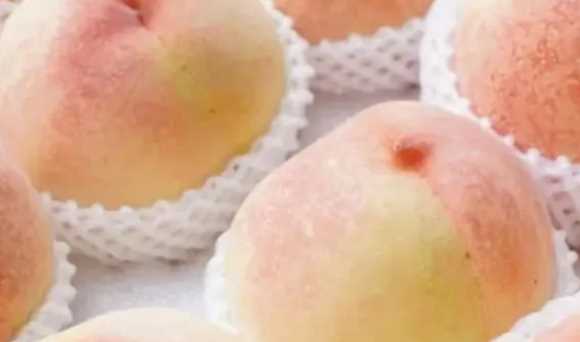 淮安特產(chǎn)廣告詞50字,淮安特產(chǎn)有哪些圖5