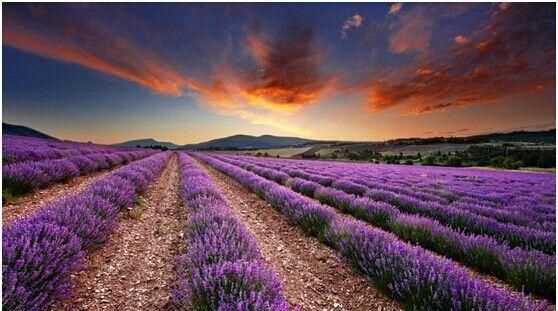 普羅旺斯在哪個國家的市區(qū)