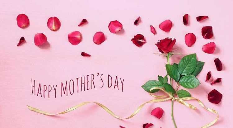 母親節(jié)送給媽媽的歌有哪些