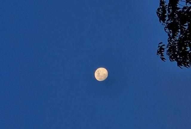 拍月亮發(fā)朋友圈說(shuō)說(shuō)，2021首次超級(jí)月亮說(shuō)說(shuō)？圖3