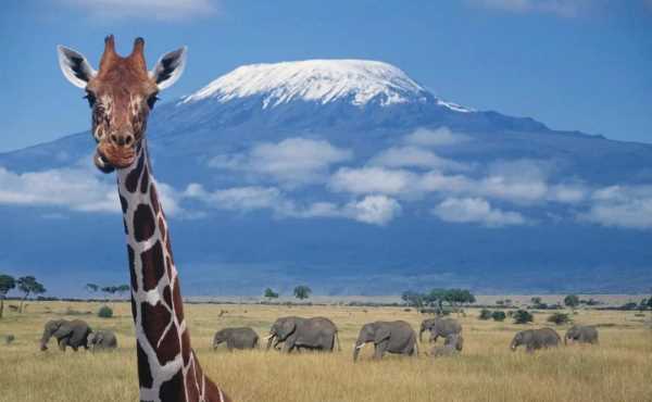 赤道雪山是哪座山,被稱為赤道雪峰的是哪一座山脈為什么沙漠中的巖石的形狀像蘑菇世界上...圖4