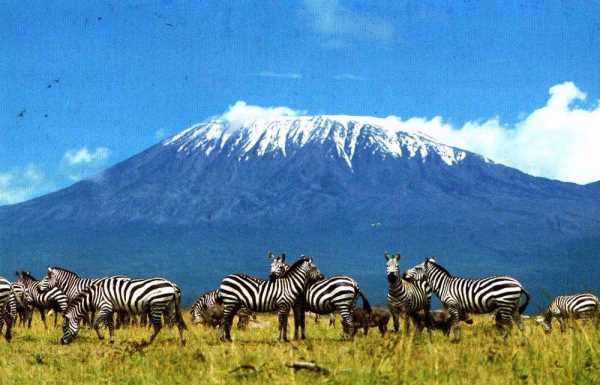 赤道雪山是哪座山,被稱為赤道雪峰的是哪一座山脈為什么沙漠中的巖石的形狀像蘑菇世界上...圖5