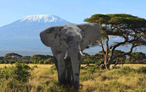 赤道雪山是哪座山,被稱為赤道雪峰的是哪一座山脈為什么沙漠中的巖石的形狀像蘑菇世界上...圖8