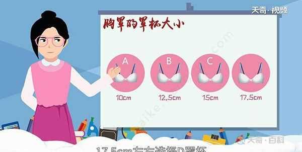 文胸尺寸，文胸尺碼表是以什么為對照表？圖3