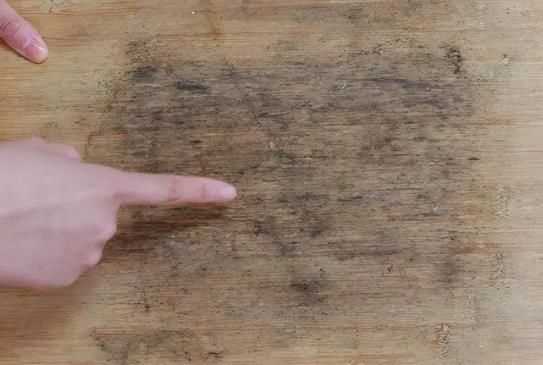 菜板上有小蟲子是怎么回事兒