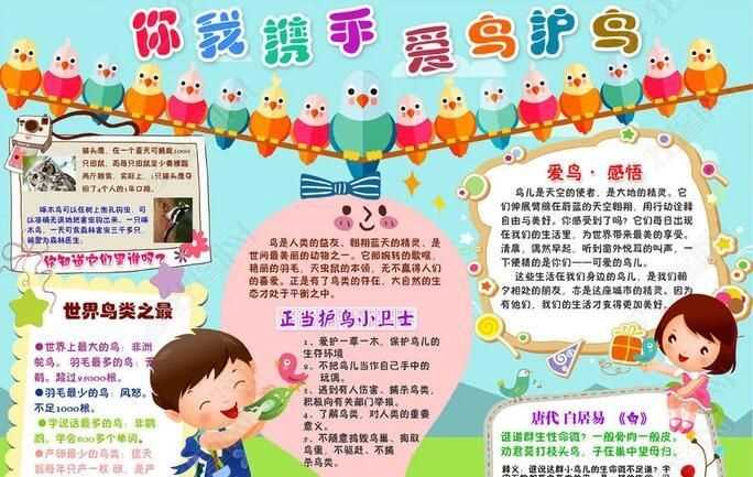 保護(hù)野生動(dòng)物宣傳標(biāo)語有哪些