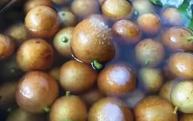 黃皮怎么保鮮，石黃皮怎么保存？圖3