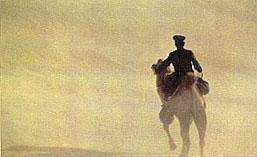 舊時稱郵局為什么,郵局和郵政局是一樣的嗎圖4