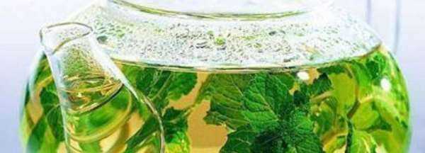 桑樹葉怎樣處理泡水喝,“山參熱補(bǔ)桑樹葉清補(bǔ)”怎樣正確食用桑葉圖7