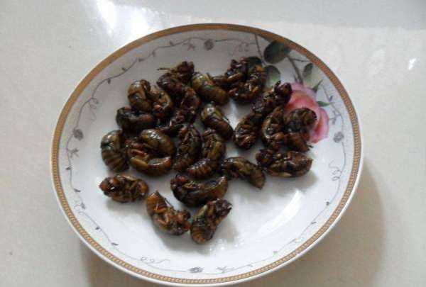 知了猴怎么炸才好吃,知了猴怎么做才好吃圖2