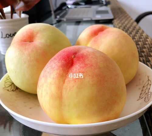 水蜜桃的產地是哪里什么時候成熟