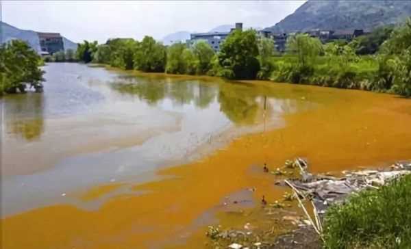 魚塘水面有一層鐵銹水怎么辦,魚塘里有銹水怎么處理視頻圖3