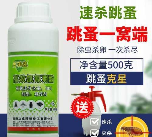 殺蟲劑噴對跳蚤有效嗎