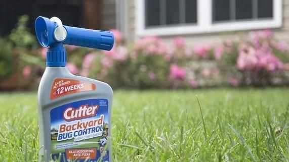 殺蟲劑對跳蚤有用嗎，殺蟲劑噴對跳蚤有效嗎？圖3