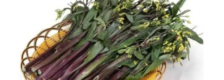 炒紫菜苔要焯水嗎