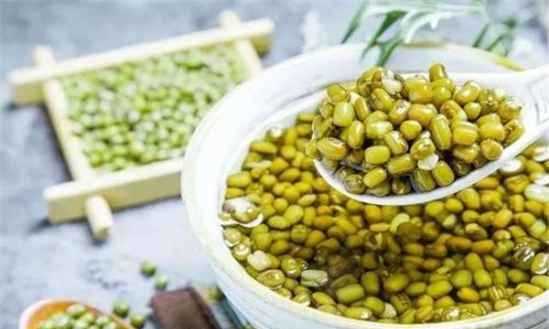 隔夜的綠豆湯能不能喝