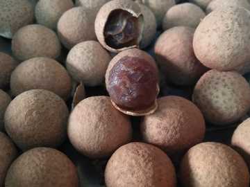 龍眼怎么曬干成桂圓,曬龍眼干怎么曬?圖13