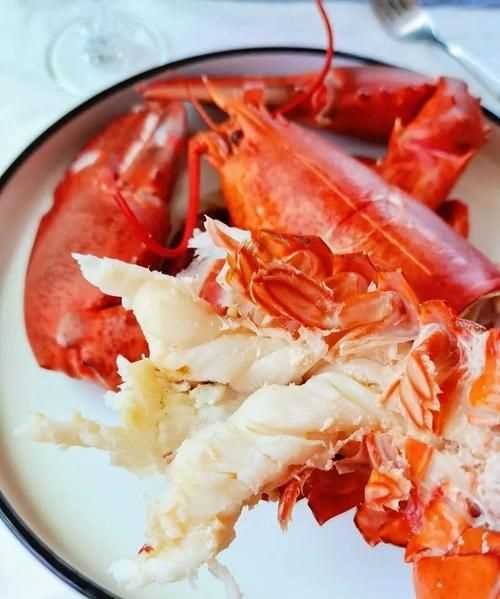 波斯頓龍蝦孕婦能吃嗎?