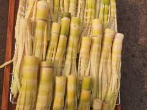 鮮竹筍如何制作筍干,筍干怎么制作圖2