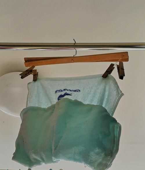 夏天濕衣服會(huì)慢慢變干從物態(tài)變化角度看來(lái)發(fā)生了_現(xiàn)象從分子的觀點(diǎn)來(lái)看說(shuō)明衣服上的水分子_