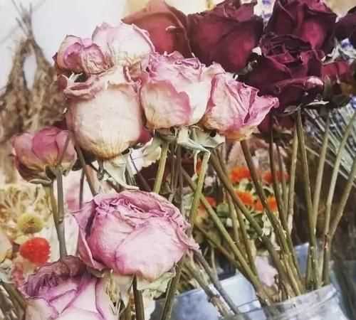 做干花怎么保存花的顏色