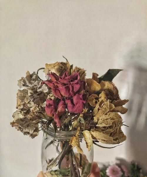 干花保持顏色的辦法