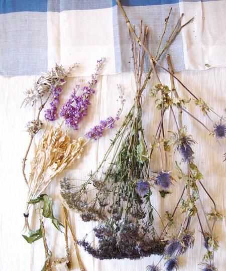 如何讓干花保持原來色彩不變