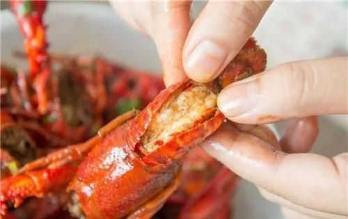 波士頓龍蝦可以過夜吃嗎