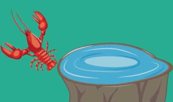 龍蝦過夜能不能吃，蒜蓉小龍蝦隔夜還能吃嗎？圖3