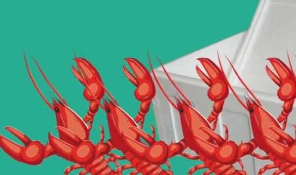 龍蝦過夜能不能吃，蒜蓉小龍蝦隔夜還能吃嗎？圖6