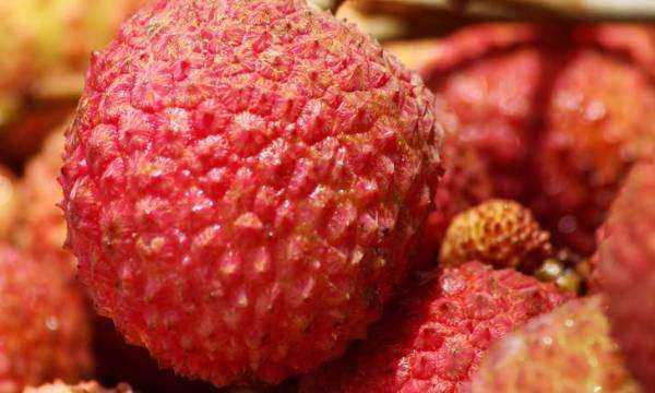 荔枝沒有冰箱如何保鮮,荔枝沒有冰箱怎么保鮮圖3