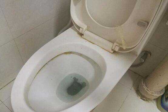 馬桶會反味,馬桶經(jīng)常反味,晚上特別臭圖8