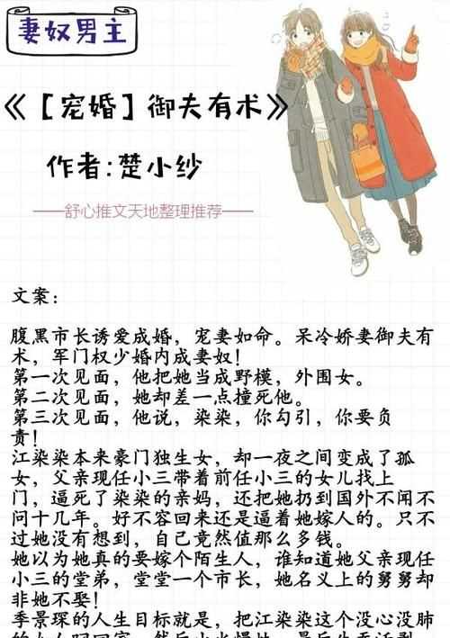 實(shí)力寵妻什么意思