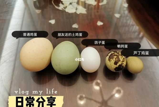 吃幾個鵪鶉蛋相當(dāng)于一個雞蛋